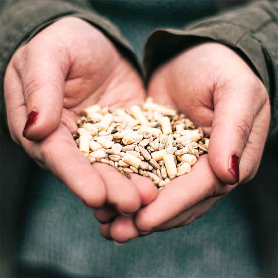 A Little Bird Co. Seasonal Bird Food | Subscription | One Time Purchase