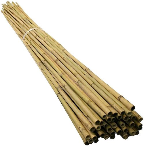 10 x 2ft (60cm) Bamboo canes