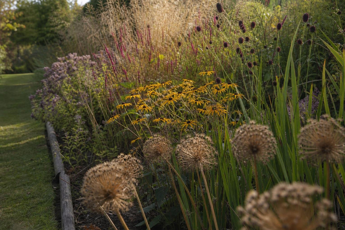 How to Build a Planting Scheme Around Three Seasons of Interest