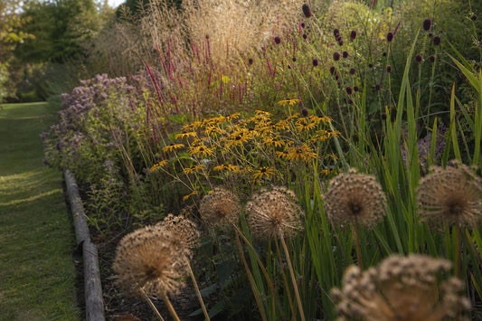 How to Build a Planting Scheme Around Three Seasons of Interest