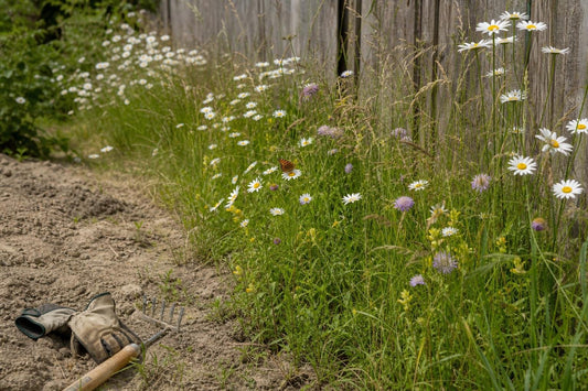 The British Wildflower Meadow at a Modest Scale: What Works and What Does Not