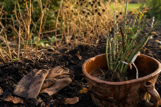 The Quiet Work of October: Why This Month Matters More Than Most
