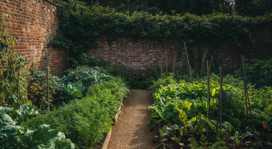 How an old walled garden taught me that heritage vegetables are more than just flavours they are stories