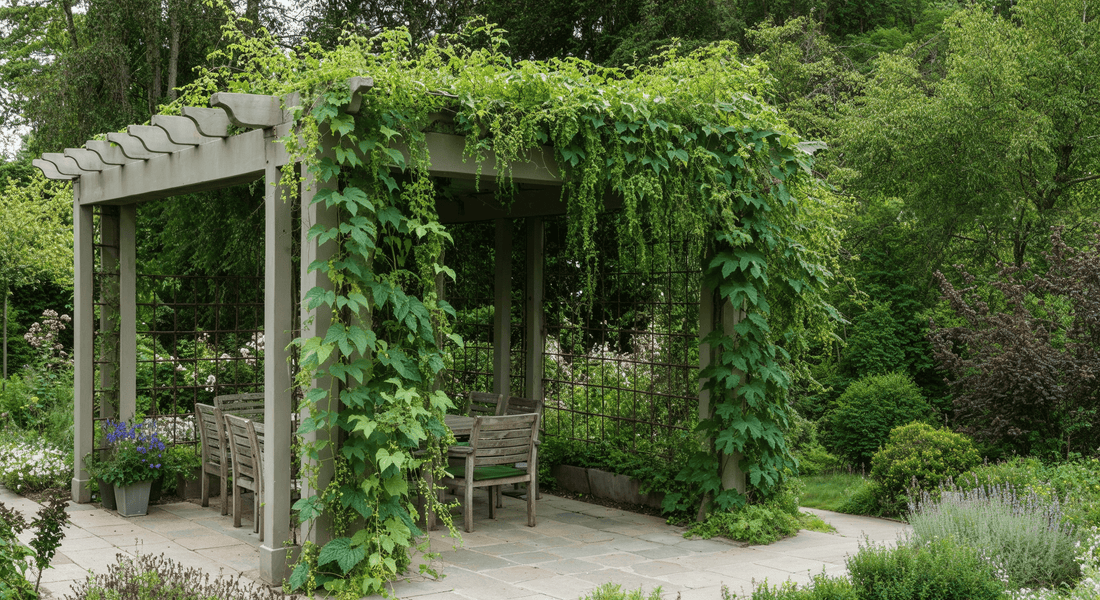 Why native climbers like hop and old man's beard are smart choices for wildlife and structure