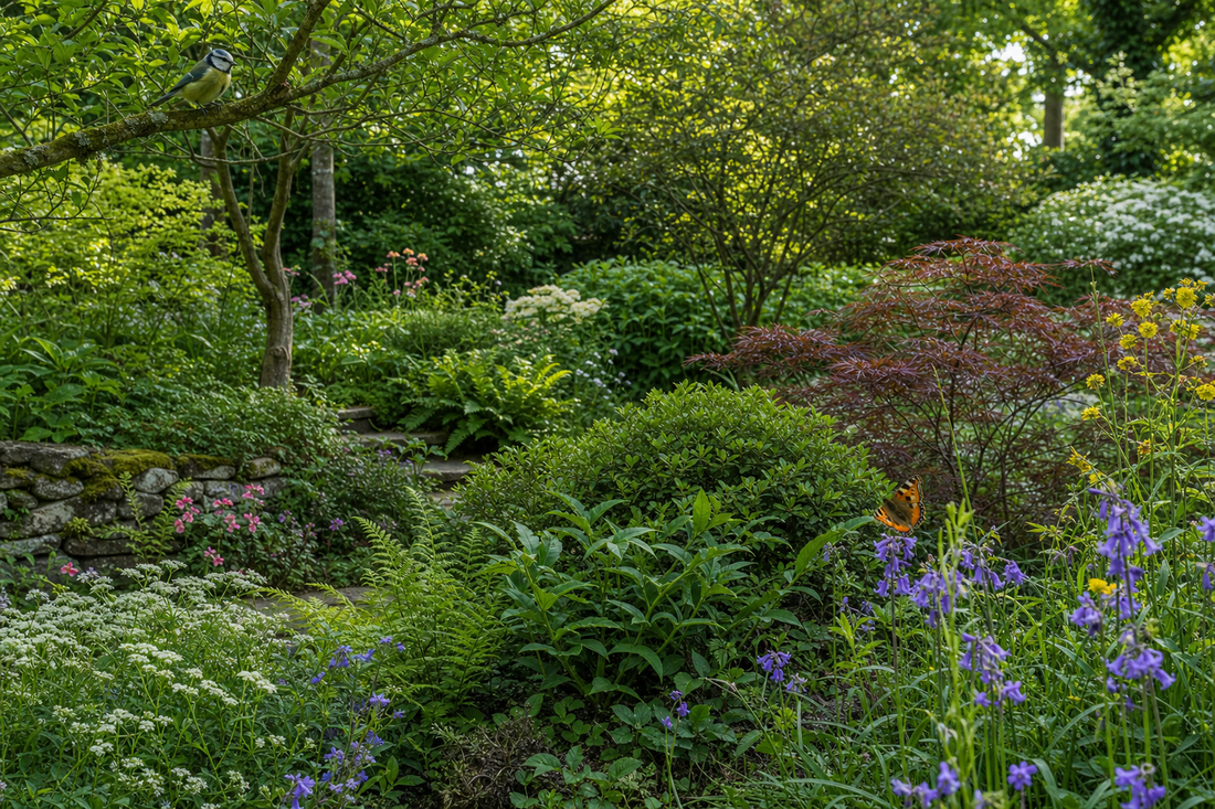 How to Cultivate a Low-Maintenance Wildlife Sanctuary Using Layered Planting Techniques