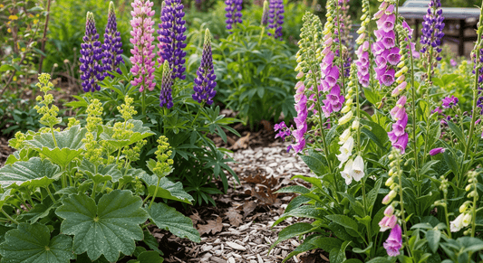 Growing a Compost-Ready Border with Heritage Perennials and Natural Mulch