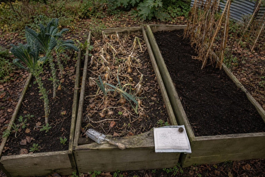 How Crop Rotation Works When You Only Have Three Beds