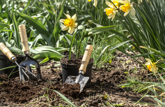 Essential Tips for Caring and Maintaining Your Gardening Tools: Nurturing Longevity and Efficiency