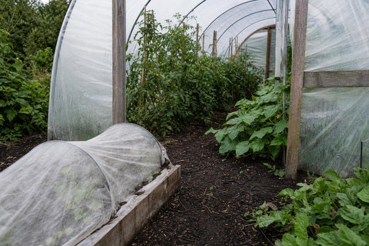 How to Extend the Growing Season with a Simple Polytunnel or Cloche