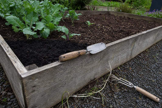 How to Manage a Raised Bed Through Its Second and Third Year