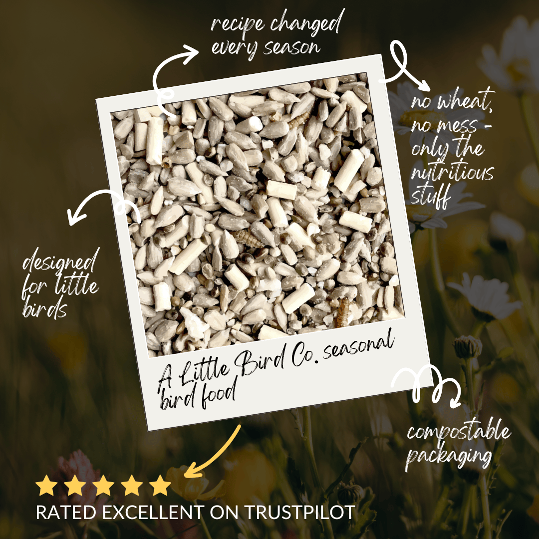 A Little Bird Co. Seasonal Bird Food | Subscription | One Time Purchase