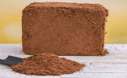 Coco Coir Brick 650g - Organic Coconut Fiber Soil Amendment for Plants & Gardens