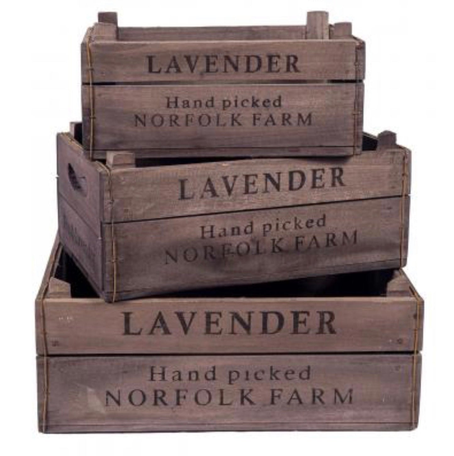 Set of 3 Wooden Lavender Boxes