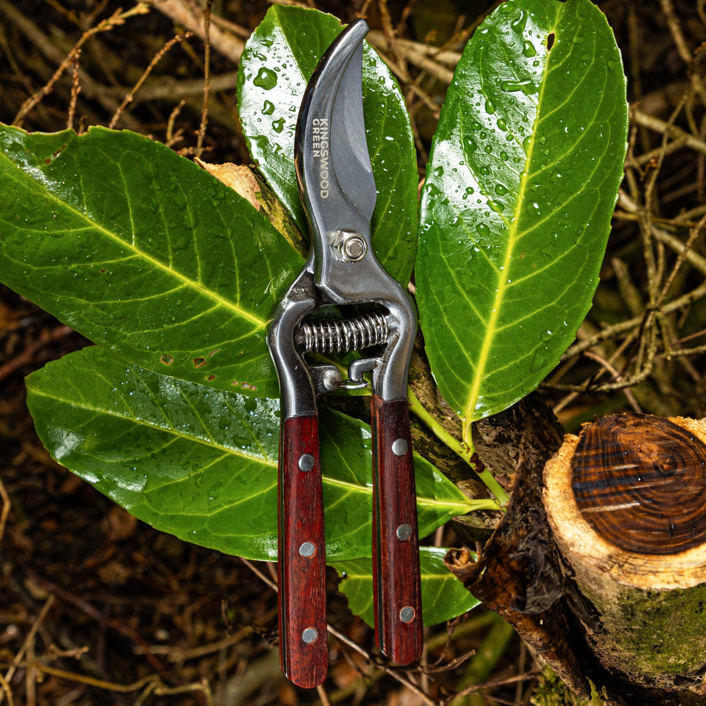 Traditional Bypass Secateurs