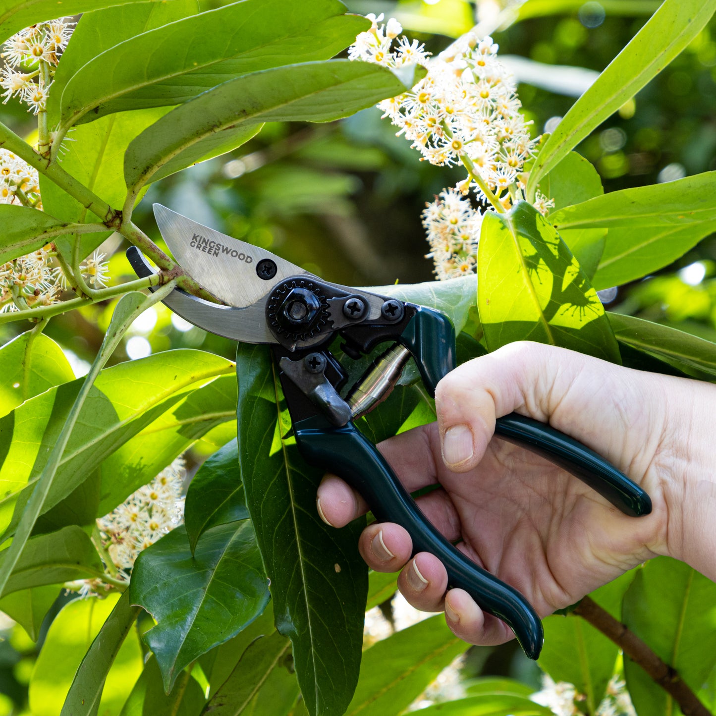 Professional Bypass Secateurs