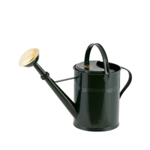 9 Liter Hot-Dip Galvanized Metal Watering Can - Durable Garden & Indoor Use