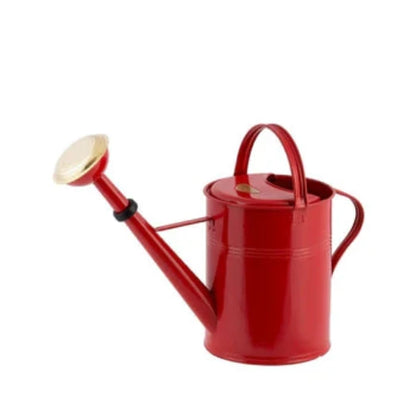 9 Liter Hot-Dip Galvanized Metal Watering Can - Durable Garden & Indoor Use