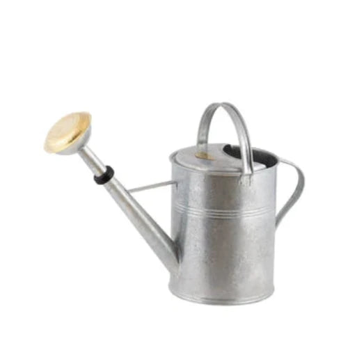9 Liter Hot-Dip Galvanized Metal Watering Can - Durable Garden & Indoor Use