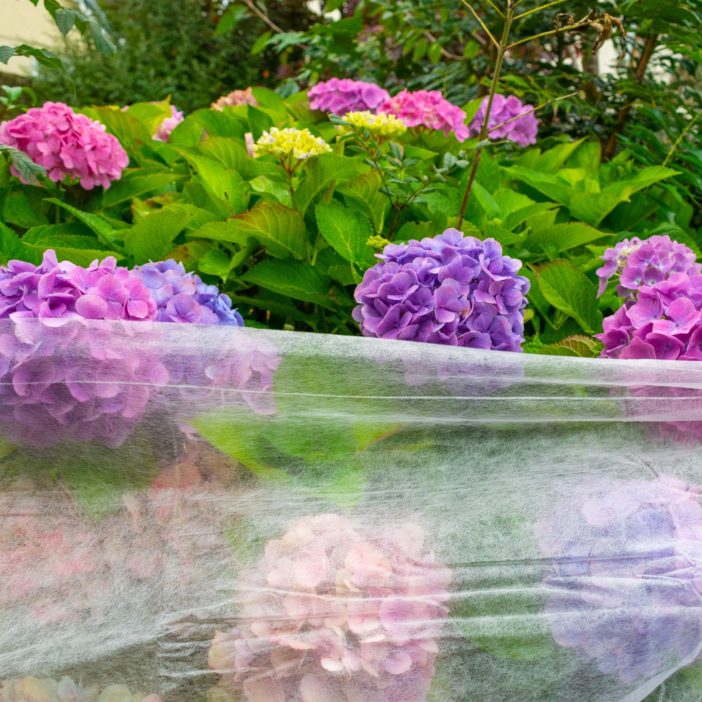 17g Non-Woven Frost Protect Fleece 1.6m x 5m Weatherproof Cover Landscape Fabric
