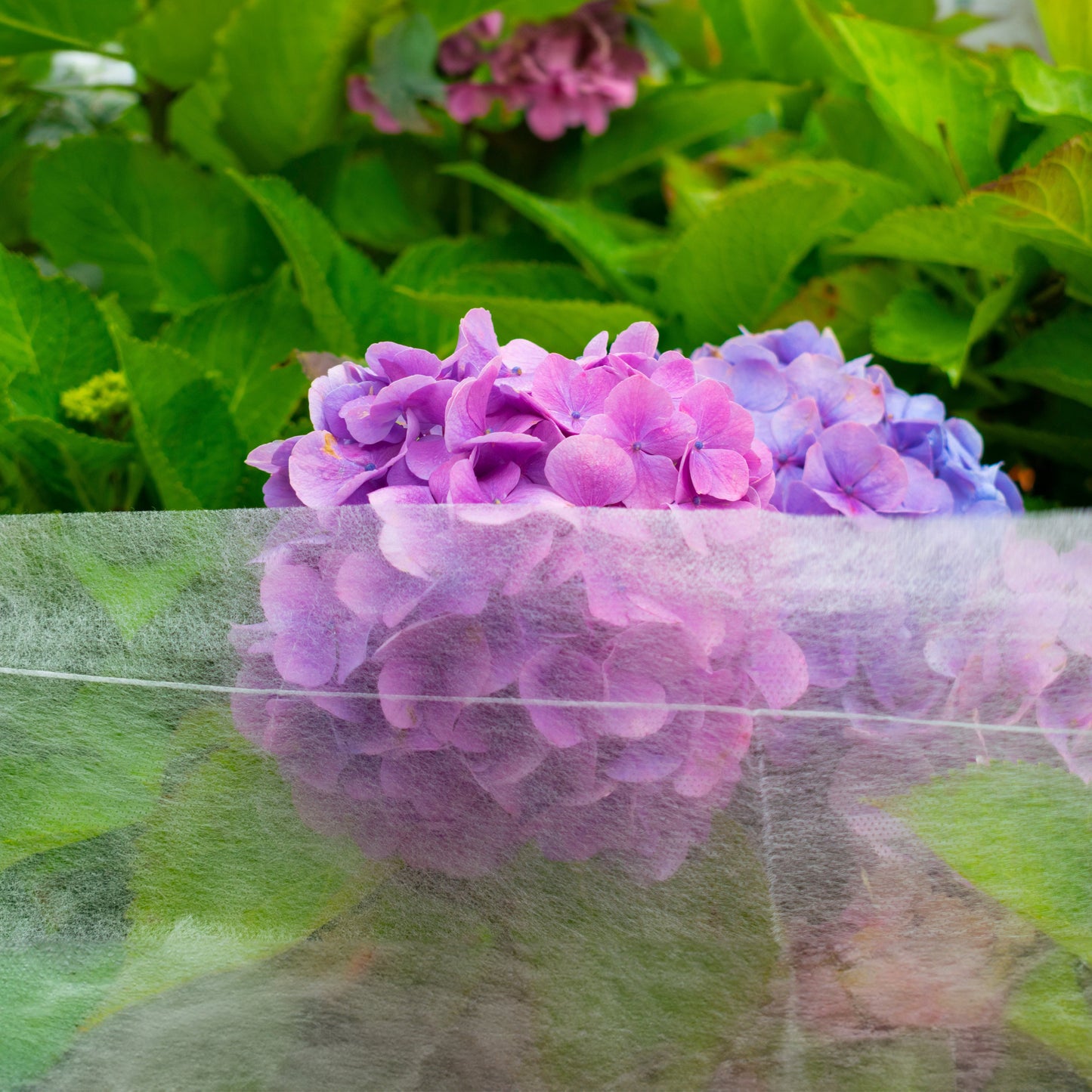 17g Non-Woven Frost Protect Fleece 3.2m x 5m Weatherproof Cover Landscape Fabric