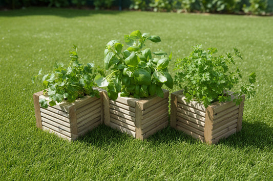 Wooden Herb Planter Boxes Pack of 3 - Tanalised Decking, 15cm, Ready to Use