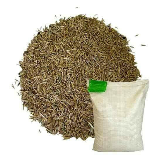 Hardwearing Grass Seed