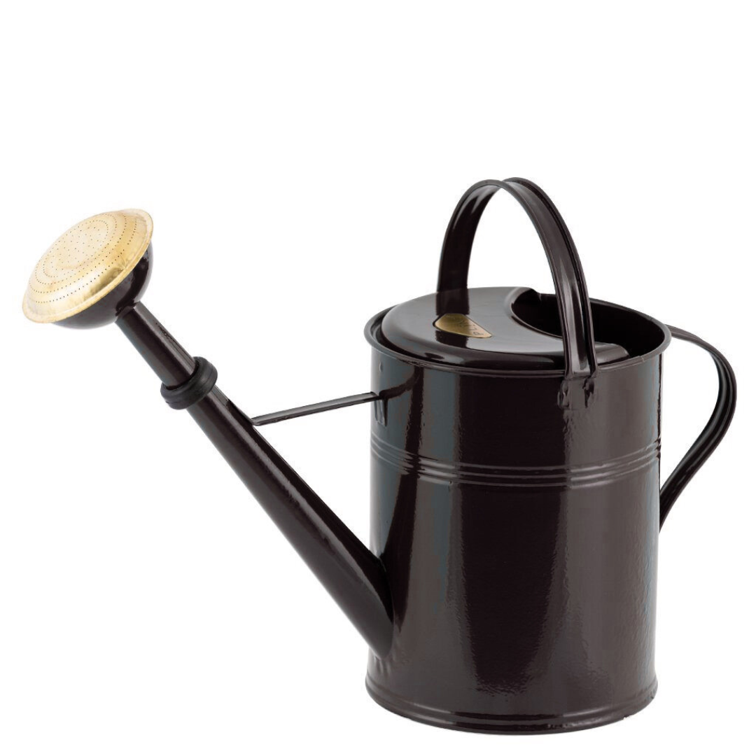 9 Liter Hot-Dip Galvanized Metal Watering Can - Durable Garden & Indoor Use