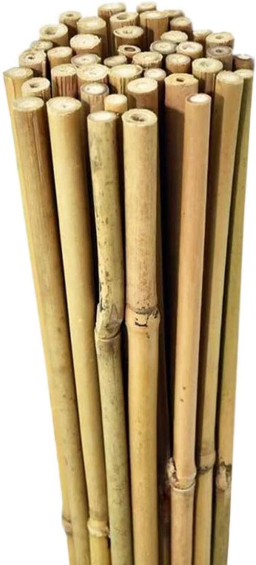 10 x 2ft (60cm) Bamboo canes